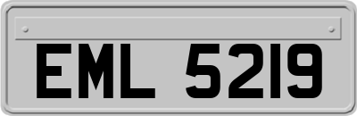 EML5219
