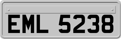 EML5238