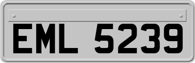 EML5239