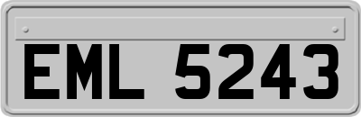 EML5243