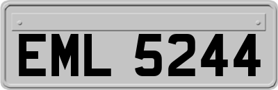 EML5244