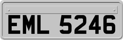EML5246