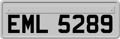 EML5289