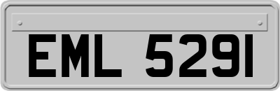 EML5291