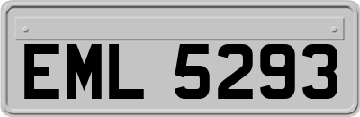 EML5293