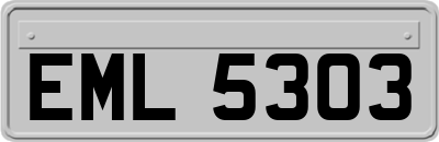 EML5303