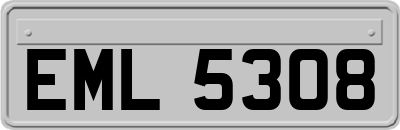 EML5308