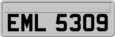 EML5309