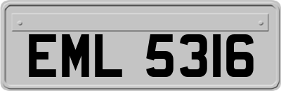EML5316