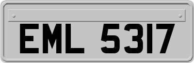 EML5317
