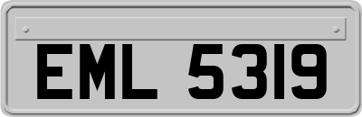 EML5319