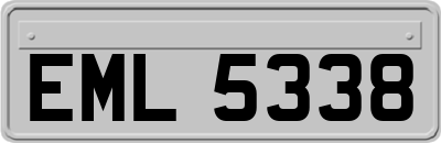 EML5338