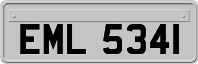 EML5341