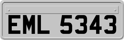 EML5343