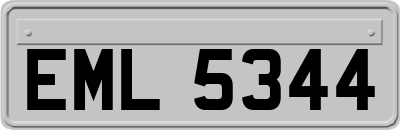 EML5344