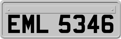 EML5346