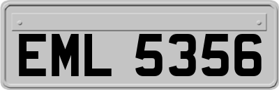 EML5356