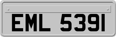 EML5391