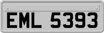 EML5393