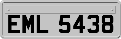 EML5438