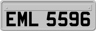 EML5596