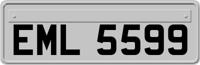 EML5599