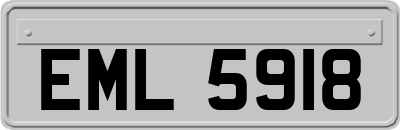 EML5918