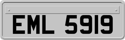 EML5919
