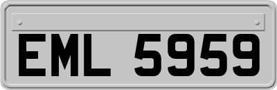 EML5959