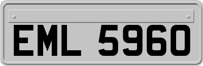 EML5960