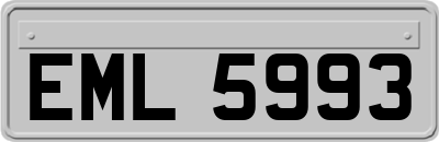 EML5993