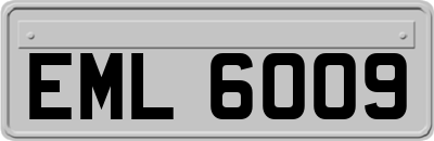 EML6009