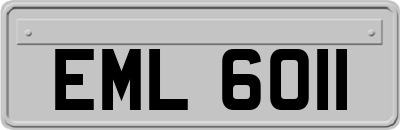 EML6011