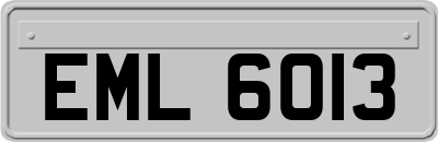 EML6013