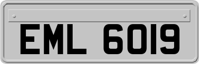 EML6019