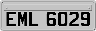 EML6029