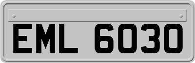 EML6030