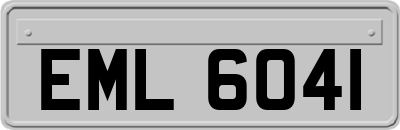 EML6041