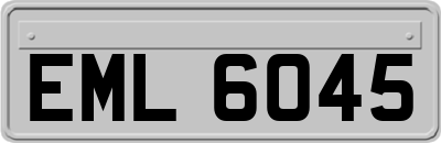 EML6045
