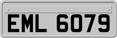 EML6079