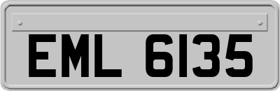 EML6135