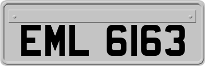 EML6163