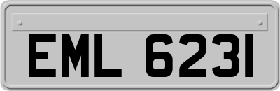 EML6231
