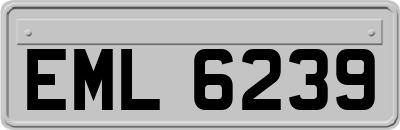 EML6239