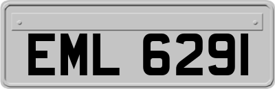 EML6291