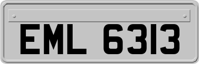 EML6313