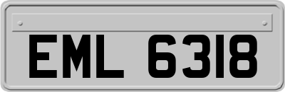 EML6318