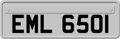 EML6501