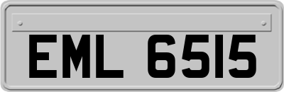 EML6515