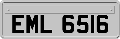 EML6516
